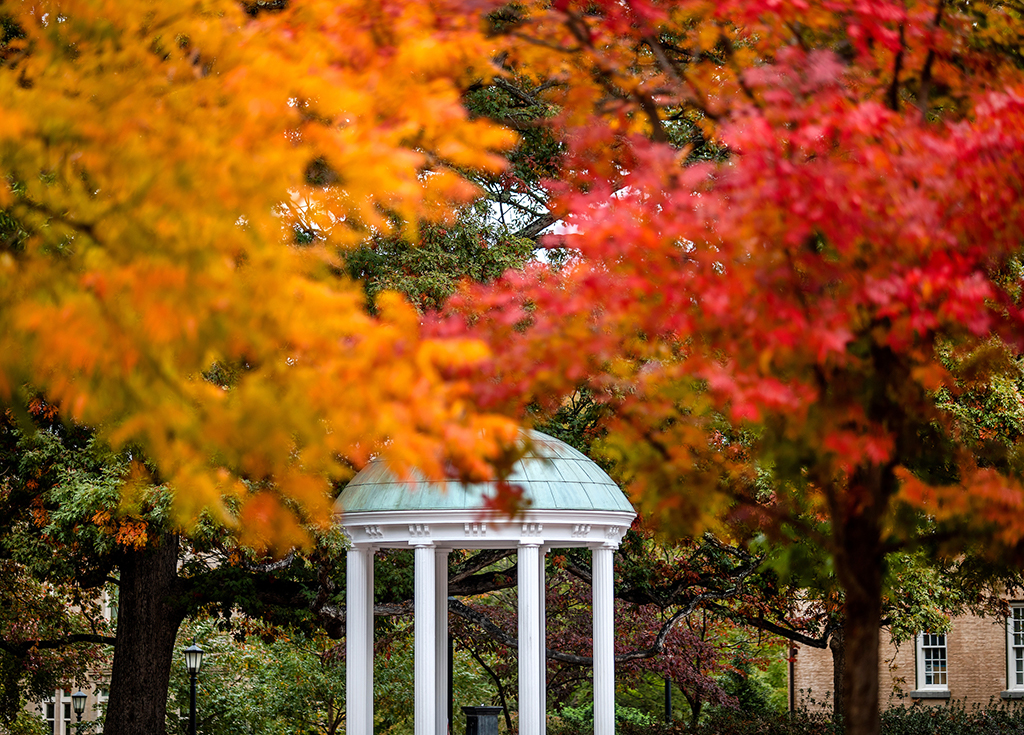 Fall leaves in front of the Old Well.